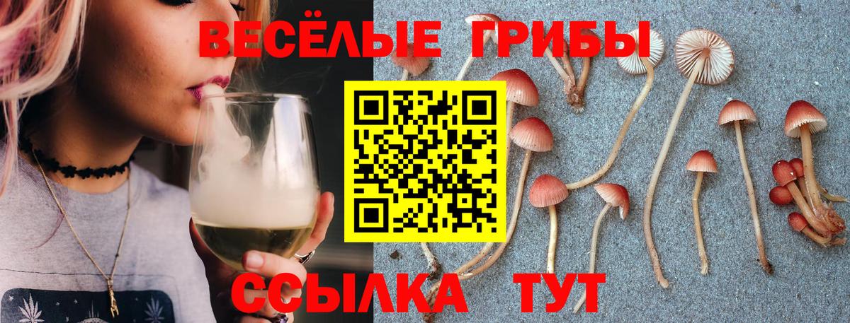Невинномысск  Псилоцибиновые грибы Psilocybe  Вход с VPN 
