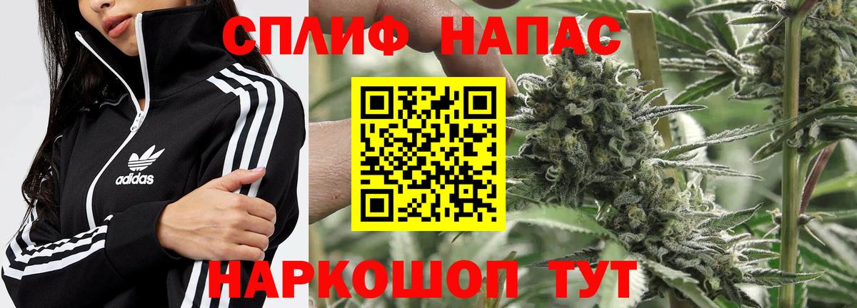  COCAIN Невинномысск